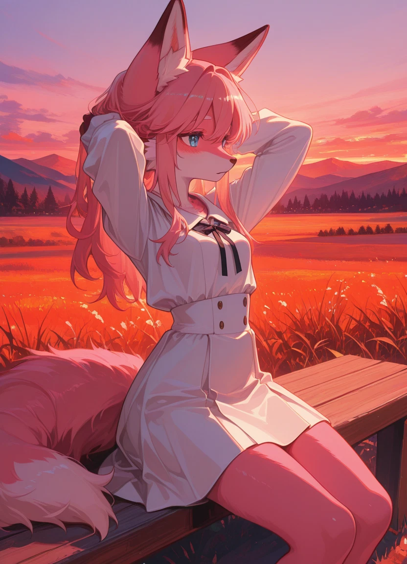 furry, 1girl, furry female, solo, animal ears, tail · Yamete.gg