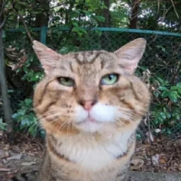 PodroChill avatar
