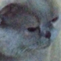 elda avatar